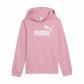 Puma Mädchen Kapuzenpullover ESS No. 1 Logo Hoodie FL G 684896 