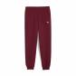 Puma Mädchen Trainingshose ESS Sweatpants CL FL G 684898 