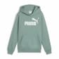 Puma Kinder Kapuzenpullover ESS No. 1 Logo Hoodie FL B 684908 
