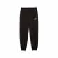 Puma Kinder Trainingshose ESS No. 1 Logo Sweatpants FL B 684912 