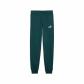 Puma Kinder Trainingshose ESS No. 1 Logo Sweatpants FL B 684912 