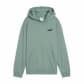 Puma Kinder Kapuzenpullover ESS Small No. 1 Logo Relaxed Hoodie FL 684921 