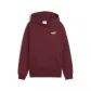 Puma Kinder Kapuzenpullover ESS Small No. 1 Logo Relaxed Hoodie FL 684921 