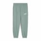 Puma Kinder Trainingshose ESS No. 1 Logo Sweatpants FL PS 684933 