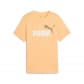 Almost Apricot