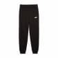 Puma Kinder Trainingshose ESS 2 COLOR No. 1 Logo Sweatpants FL B 685824 