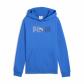 Puma Jungen Kapuzenpullover ESS LOGO LAB Hoodie FL B 689135 