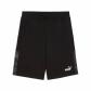 Puma Herren Short Essentials Camo Shorts 10’’ 689372 