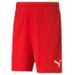 Puma Herren Shorts teamRISE Short 704942 