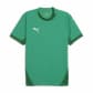 Sport Green-PUMA White-Power Green