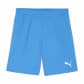 Puma Kinder Short teamGOAL Shorts Jr 705753 