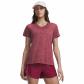 Claret/OX Blood