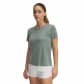 Silica Green