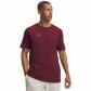 Vintage Maroon