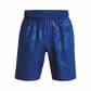 Under Armour Herren Short Woven Emboss Shorts 1377137 