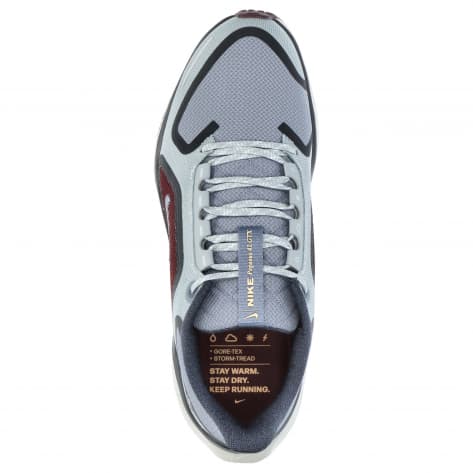 Nike Herren Laufschuhe Pegasus 41 GORE-TEX FQ1356-003 44 Lt Pumice/Ashen Slate-Burgu | 44