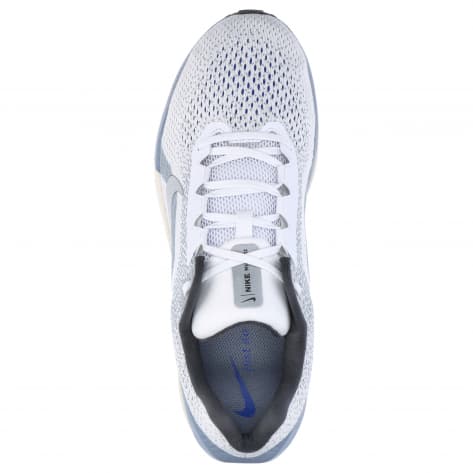 Nike Herren Laufschuhe Winflo 11 FJ9509 
