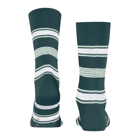 Falke Herren Socken Marina Stripe 12557 
