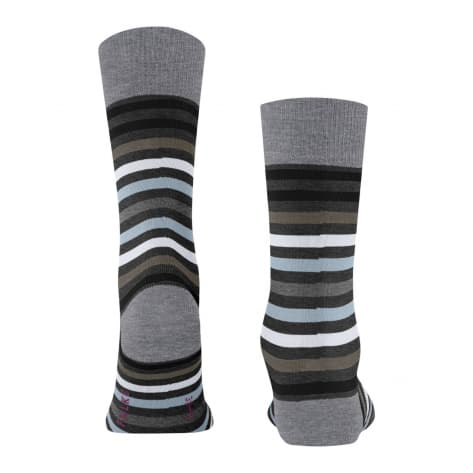 Falke Herren Socken Tinted Stripe 13279 