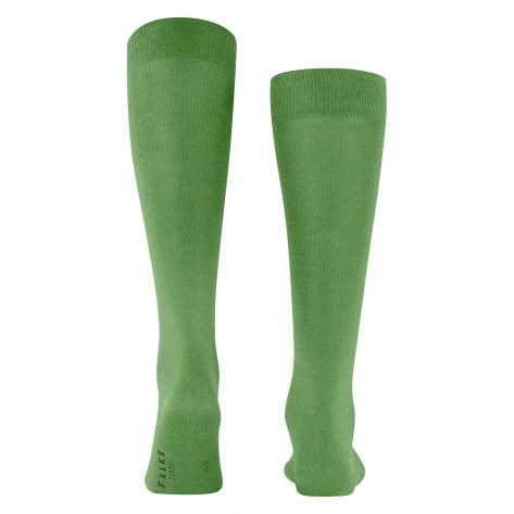 Falke Herren Kniestrümpfe Tiago 15792 