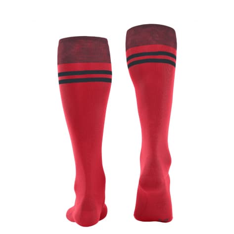 Falke Herren Skisocken SK7 Race Men 16101 