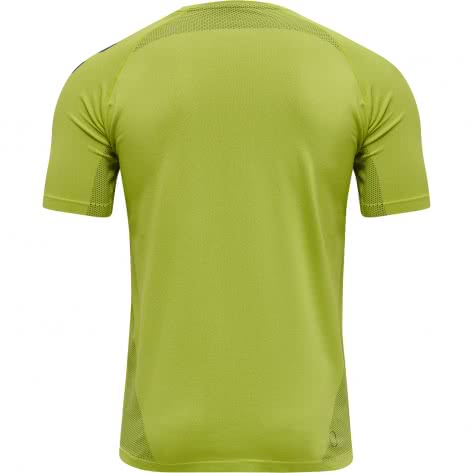 Hummel Herren Trainingsshirt Lead Pro Seamless 207419 