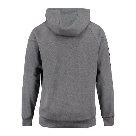 Hummel Herren Kapuzenpullover Authentic Charge Poly Hoodie 33403 