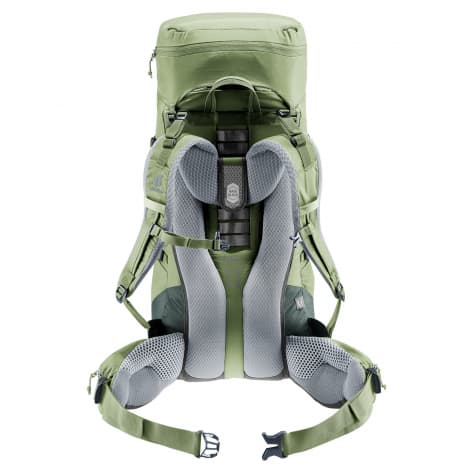 Deuter Rucksack Aircontact Lite 35 + 10 SL 3340023-1214 Grove-Ivy | One size