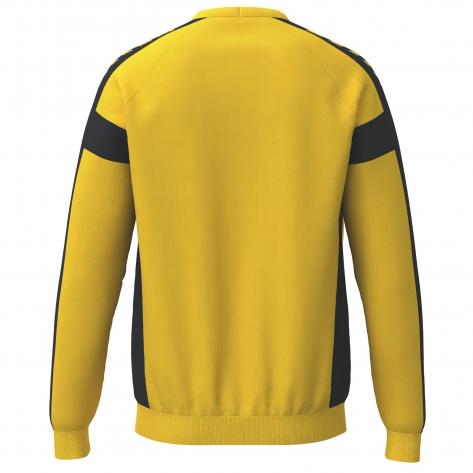 erima Unisex Torwart Pullover CMPT Wings Sweatshirt GK 