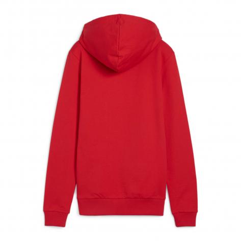 Puma Damen Kapuzenpullover teamGOAL Casuals Hoody Wmn 658621 