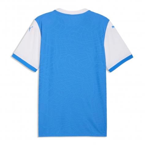 Puma Herren Trikot teamFINAL26 Knit Jersey 706651 