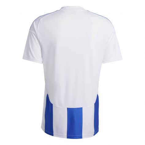 adidas Herren Trikot Striped 24 Jersey 