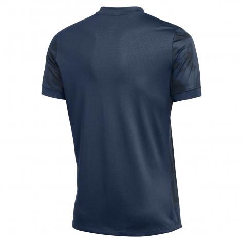 Nike Herren Trikot Precision VII FZ9332 