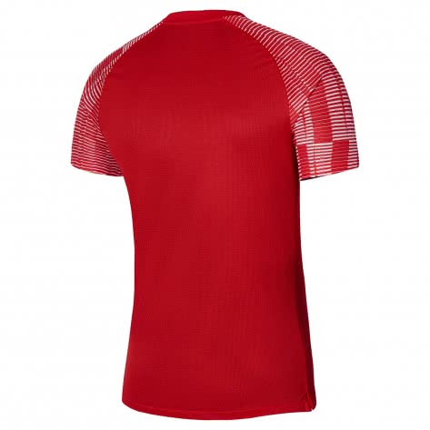 Nike Herren Trikot Dri-FIT Academy Jersey SS DH8031 