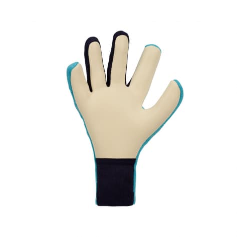 Nike Herren Torwarthandschuhe Dynamic Fit Goalkeeper Gloves FZ4558 