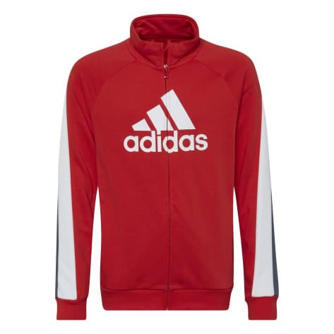 adidas Kinder Trainingsanzug Colorblock Big Badge of Sport 