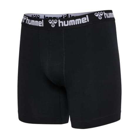 Hummel Herren Boxershorts hmlBoxers 2-Pack 224039 