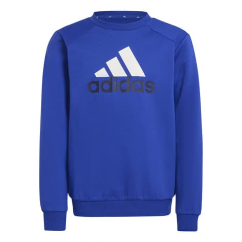adidas Kinder Trainingsanzug Big Logo Fleece TS 