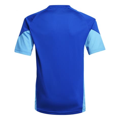 adidas Kinder Trainingstrikot Tiro 25 Competition TR JSYY 