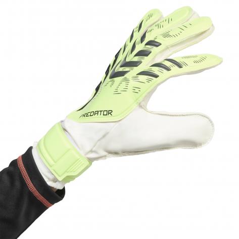 adidas Torwarthandschuhe Predator GL Training 