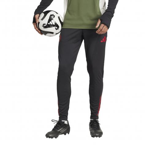 adidas Herren FC Bayern München Trainingshose 2025/26 EU TR PNT 