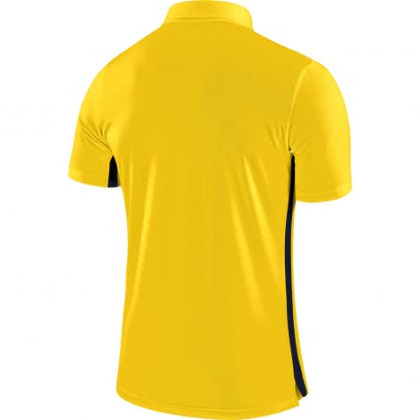 Nike Kinder Poloshirt Academy 18 Polo SS 899991 