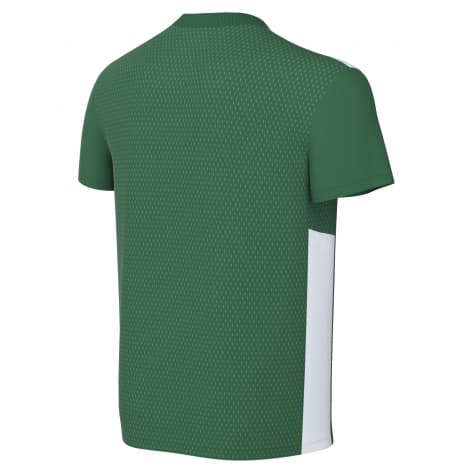 Nike Kinder Trikot Dri-FIT Park Derby IV FD7438-303 128-137 Pine Green/Tour Yellow/White | 128-137