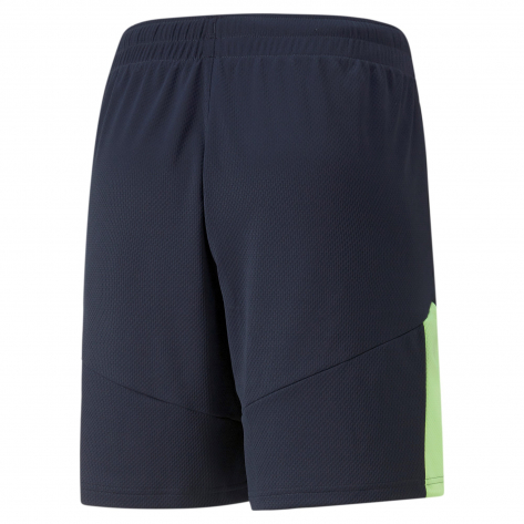 Puma Herren Short individualFINAL Training Shorts 658042 