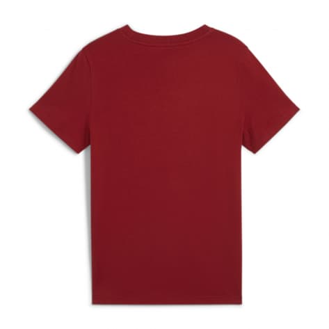 Puma Jungen T-Shirt SQUAD Small Graphic T 682773 