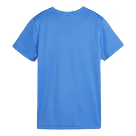 Puma Damen Trikot teamGOAL Jersey Wmn 658638-02 L Electric Blue Lemonade-PUMA White | L