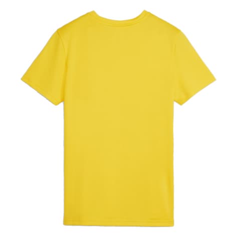 Puma Damen Trikot teamGOAL Jersey Wmn 658638-07 XL Faster Yellow-PUMA Black-Sport Yellow | XL