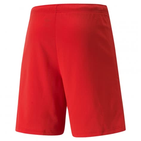 Puma Herren Shorts teamRISE Short 704942 