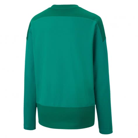 Puma Kinder Sweatshirt teamGOAL 23 Training Sweat Jr 656568 