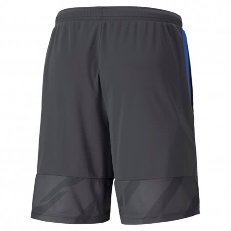 Puma Herren Shorts individualCUP Shorts 657546 